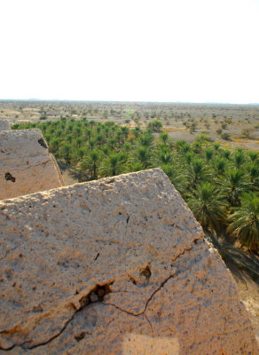AMJ_3669.jpg