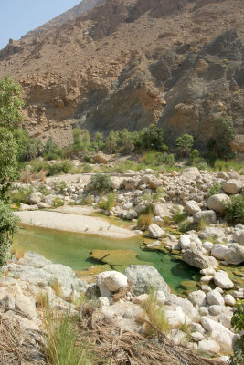 Wadi Tiwi