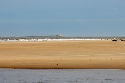 Coquet island