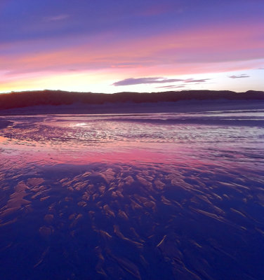 bamburgh 2013 018.jpg