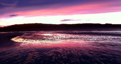 bamburgh 2013 019.jpg