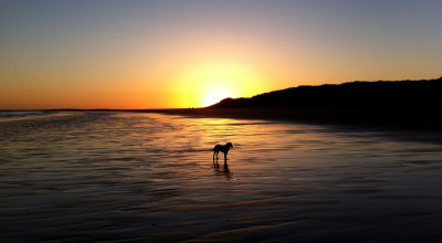 bamburgh 2013 021.jpg