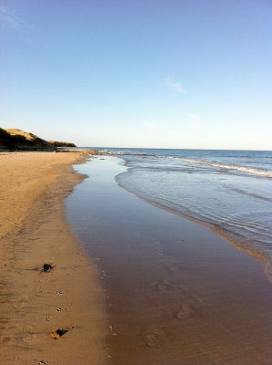 bamburgh 2013 029.jpg