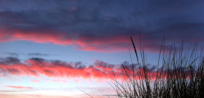 bamburgh 2013 041.jpg