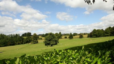 IMG_4974.jpg