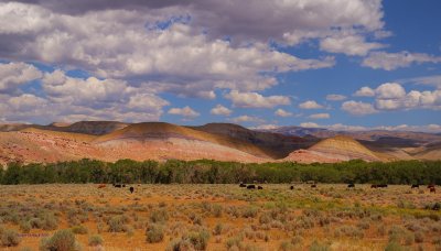   Wyoming pastel rolling hills 