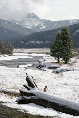 171_7176.jpg