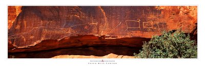 Rock Art - Pictograph Panels
