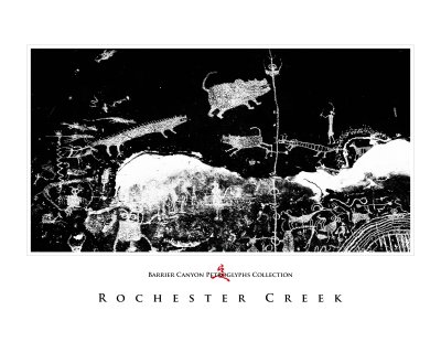 Art Poster_Rochester Panel_Exotic Creatures copy.jpg