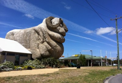 A giant ram sculpture in Goulburn, NSW called The Big Merino