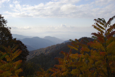 Smokies