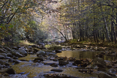 smokies-19.jpg