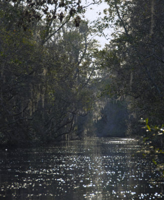 Wakulla Springs, FL and Okefenokee Swamp