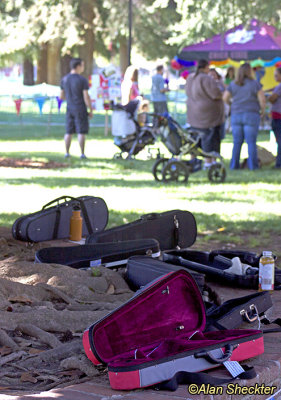 Violin cases