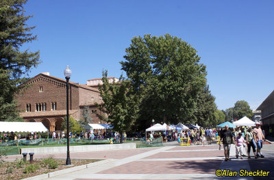 Chico State campus, Chico World Music Fest