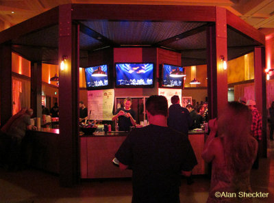Fans watching Furthur on the bars video screens