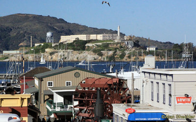 Alcatraz from Fisherman's Wharf