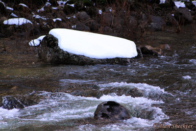 Chilly Merced River in the morning