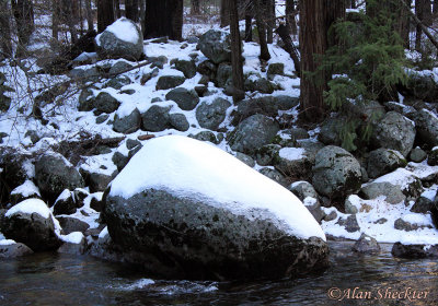 Chilly Merced River in the morning