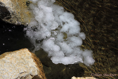 Piece of ice floats in the chilly Merced River