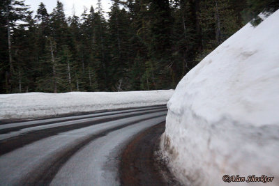 Road to Badger Pass