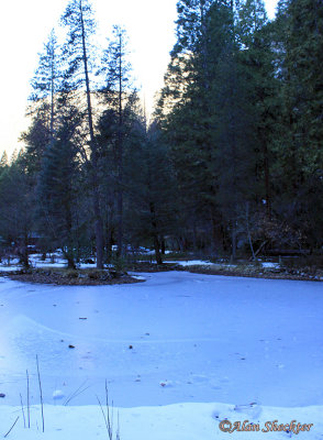 SUNDAY: Frozen pond at the Ahwahnee