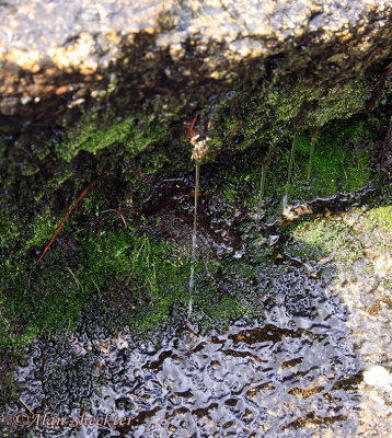 Some waterfalls drip a few drops at a time :-)