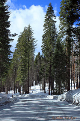 A touch of snow on the way out of the park