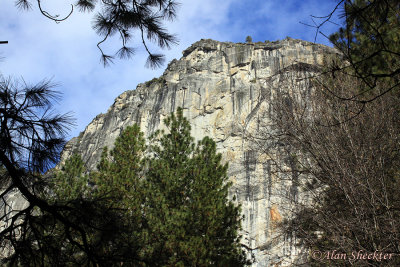 One of the countless beautiful Yosemite Valley views