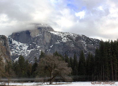 One of the many Yosemite Valley meadow views