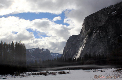 One of the many Yosemite Valley meadow views