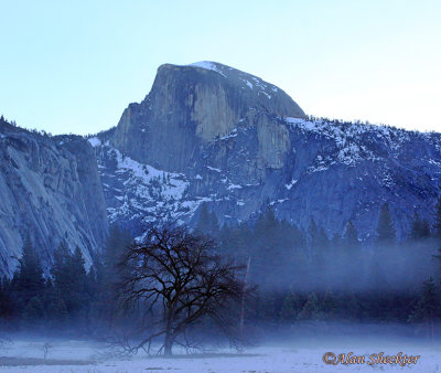 Meadow view of Half Dome