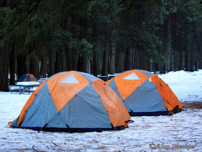 A few hardy tent campers occupied the valley campgrounds