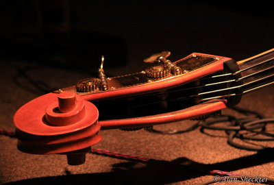 The Railflowers' Emma Blankenship's bass fiddlehead
