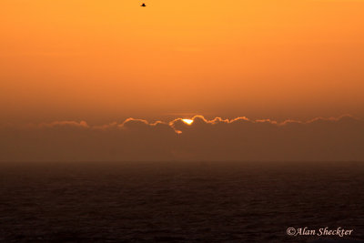 Sunset at Noyo Harbor