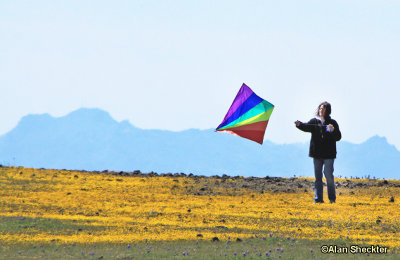 Flying a kite at Table Mountain with Sutter Buttes in the background