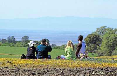 Table Mountain picnic view