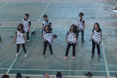 IMG_0258 800x533.jpg