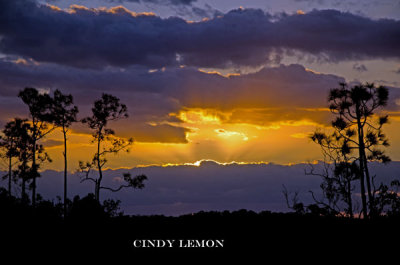 Sunset over Everglades