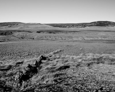 018 Wasteland.jpg