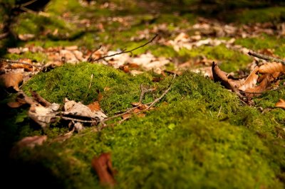 019 Small world.jpg