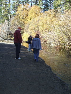 South Lake Tahoe-we took our friends back to Taylor Creek to see the salmon