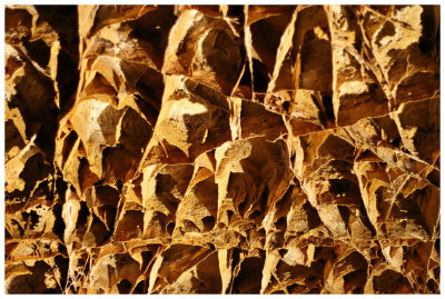 Wind Cave National Park - cave boxwork