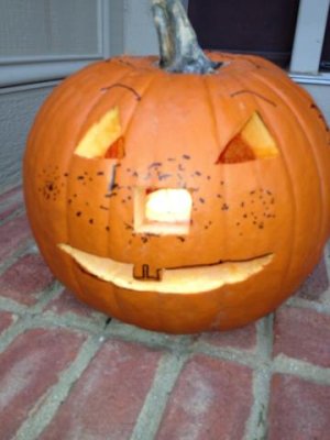 our freckled pumpkin