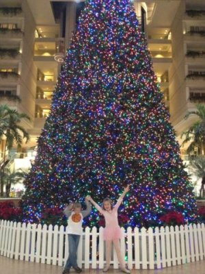 the beautiful christmas tree
