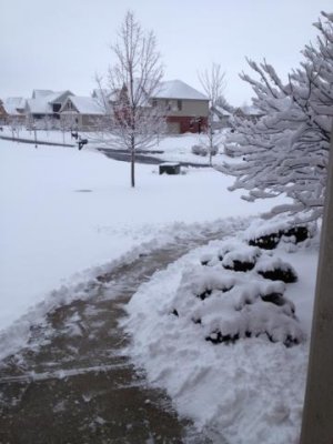 a surprising snowfall in march