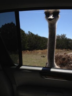 hello there!