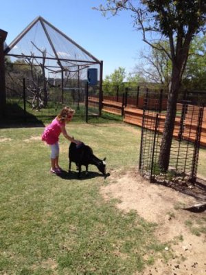 too much poop in that pen for me!