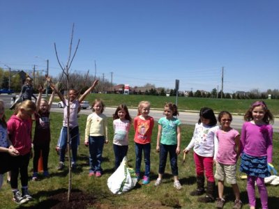 part of her class planted this tree (there were a lot planted)
