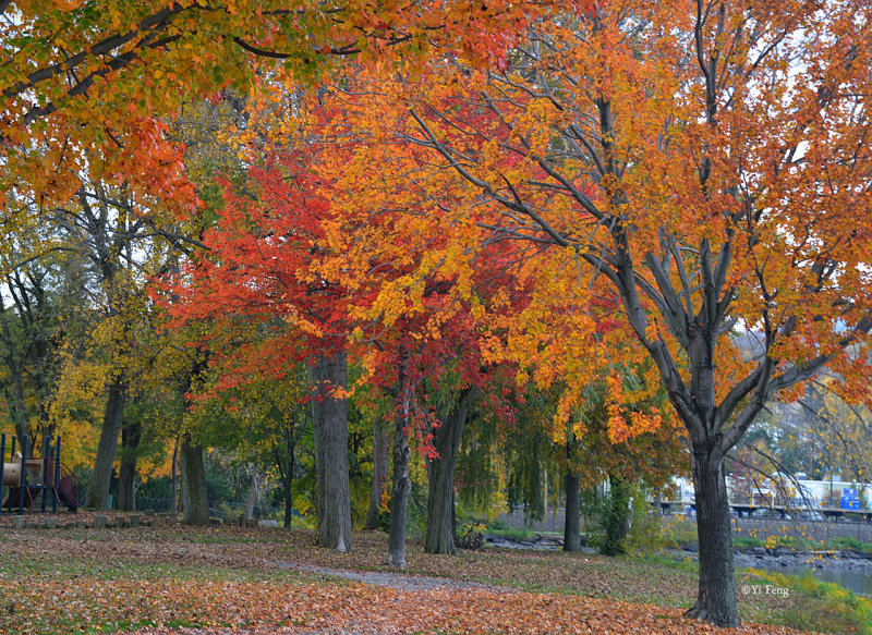 10-27-12_060.jpg